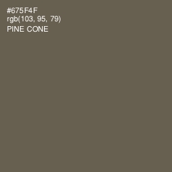 #675F4F - Pine Cone Color Image